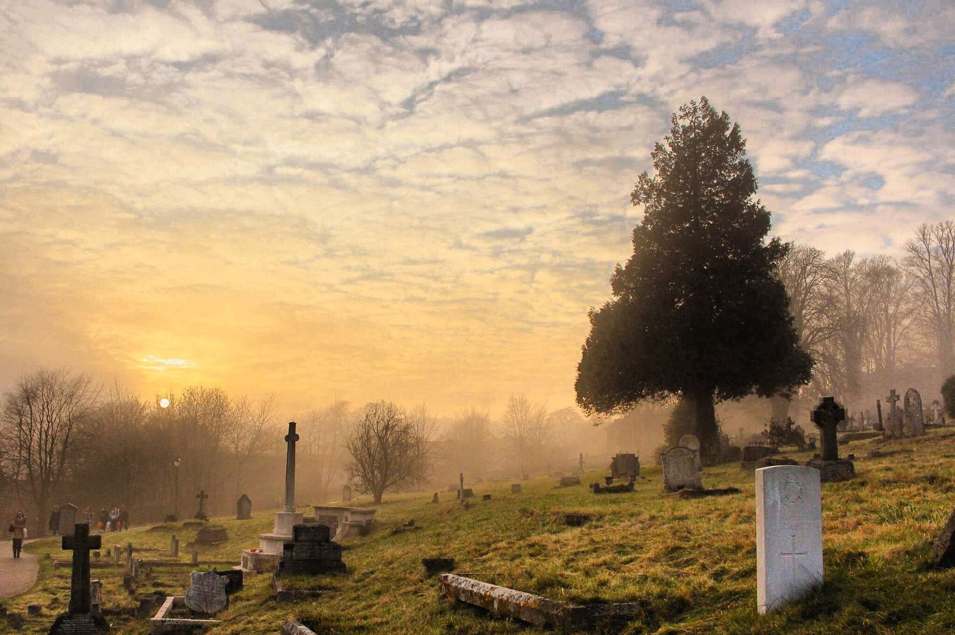 Misty sunrise over a fog-shrouded hillside cemetery, gravestones scattered among the trees